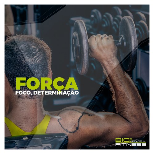 Access to Gym Design Assets - Google Drive Folder