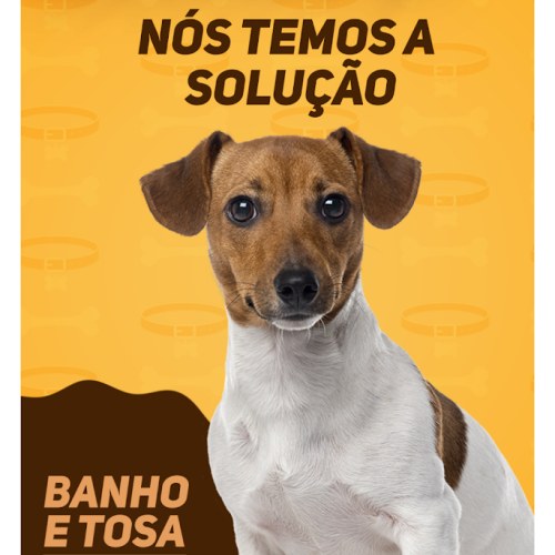 الوصول إلى TIENDA DE MASCOTAS - PET SHOP مجلد Google Drive