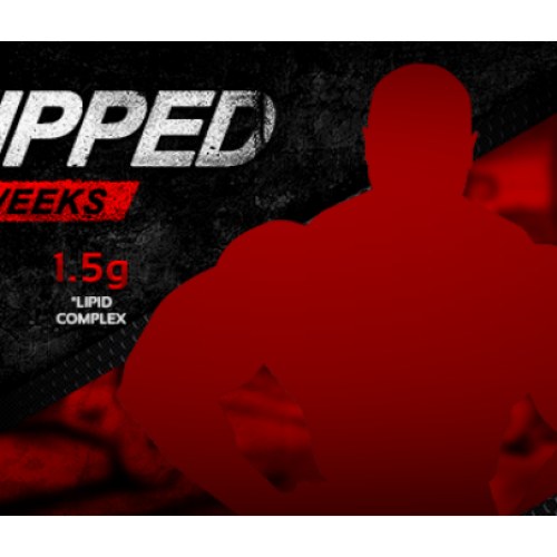 Access to Body-building-V2 PSD Files