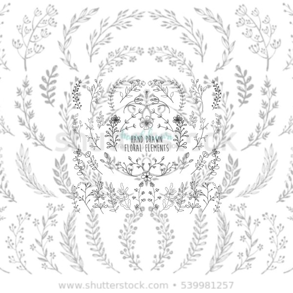 FLORES Y MARCOS - FLOWERS AND FRAMES Digital Asset Collection