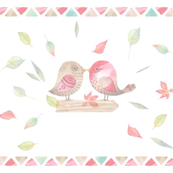 Matrimonio y Novios - Comprehensive Vector Collection