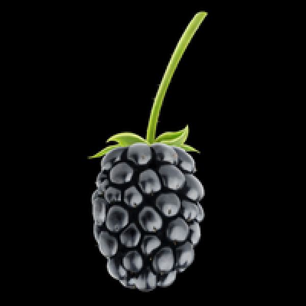 Blackberry PNG Sammlung - 48 Hochwertige Bilder