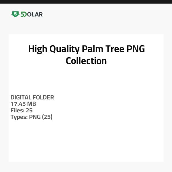 مجموعة صور عالية الجودة لشجرة النخيل بصيغة PNG