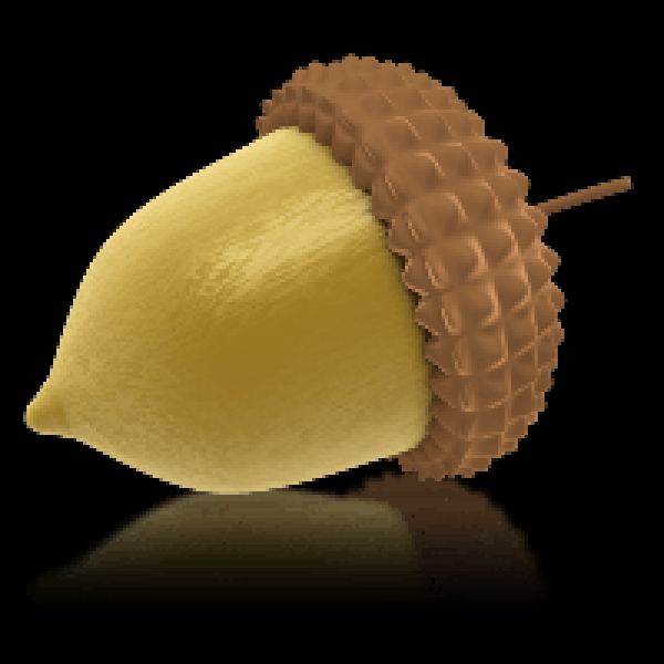 مجموعة صور البلوط PNG - 43 صورة عالية الجودة