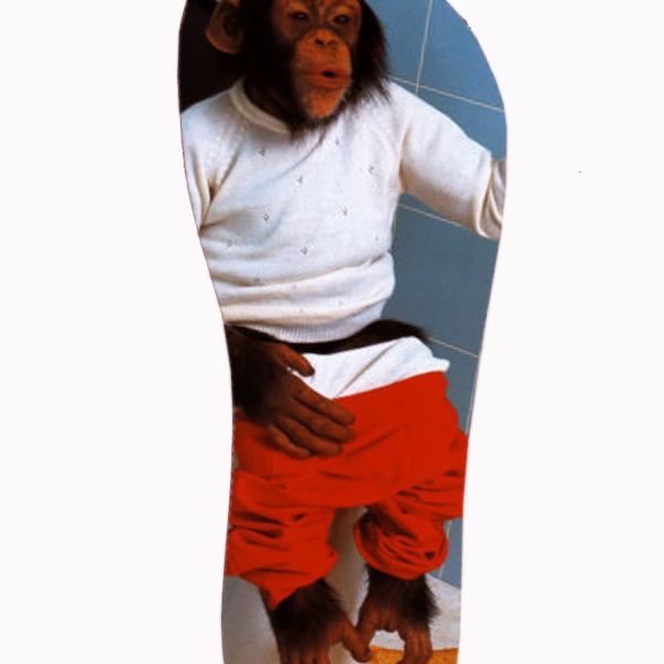 الوصول إلى مجموعة صور MACACO 35-36