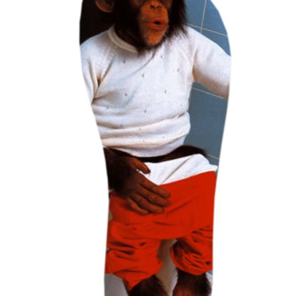 الوصول إلى MACACÃO- 37-38 مجموعة الصور