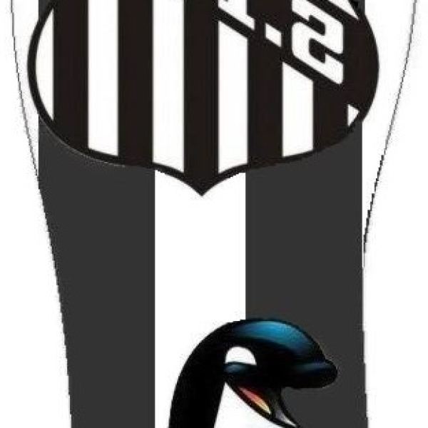 الوصول إلى مجموعة الصور الرقمية SANTOS-39-40