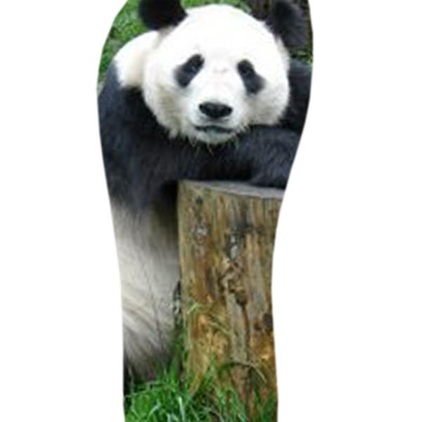 الوصول إلى مجموعة صور PANDA 37-38