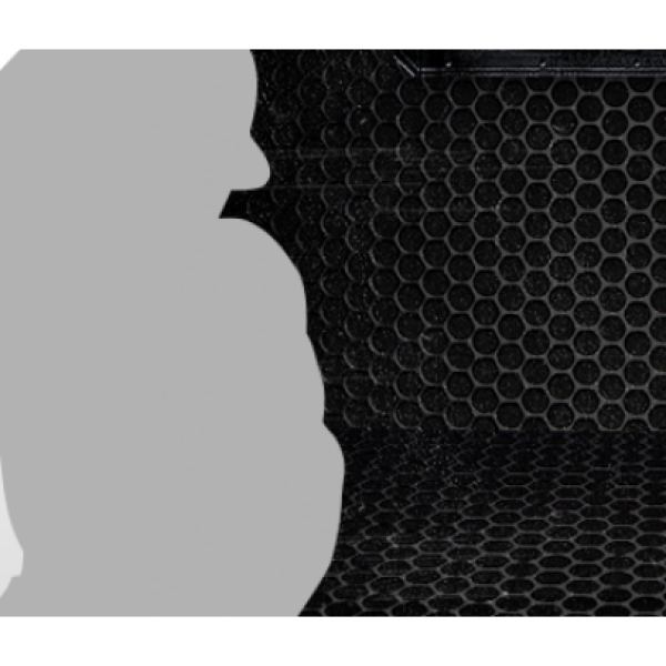 Body Building 4 - Exklusiver PSD-Zugang