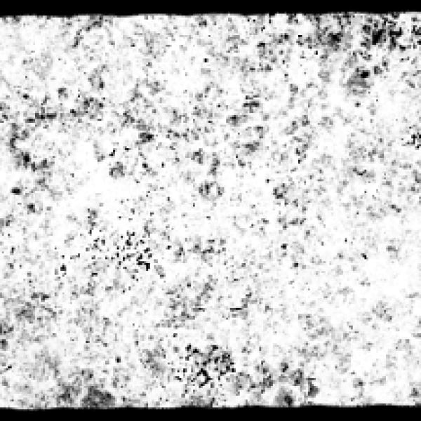 مجموعة ضربات الفرشاة (20 ملف PNG)