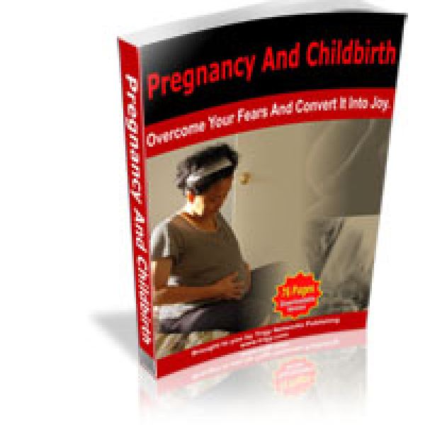 Umfassender Schwangerschafts- und Geburtsressourcen-Ordner