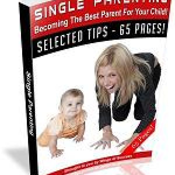 Alleinerziehend: Der beste Elternteil für Ihr Kind werden - Zugriff auf digitale Ressourcen