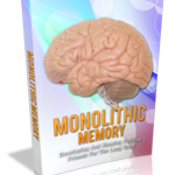 Monolithisches Speicherzugriffs-Paket