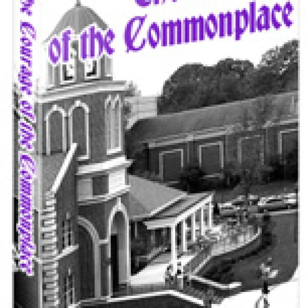 Der Mut des Gewöhnlichen - Digitaler Zugang