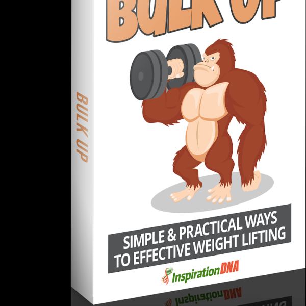 حزمة الموارد الرقمية Bulk-Up