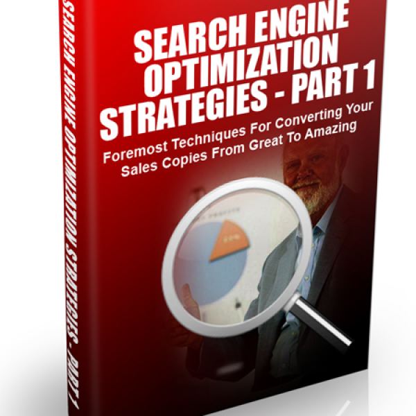 Suchmaschinenoptimierungsstrategien - Teil 1 Zugang