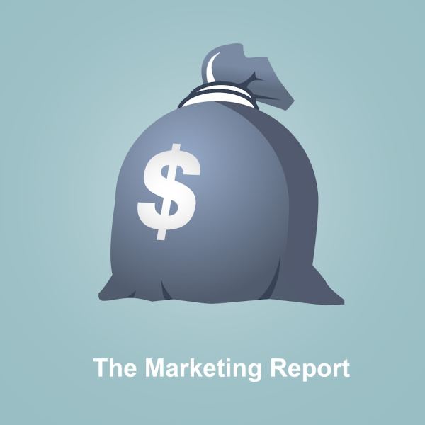 Der Marketingbericht - Umfassender Zugang zu digitalen Ressourcen