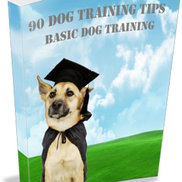 90 Hundetrainings-Tipps - Umfassender Ressourcen-Zugang