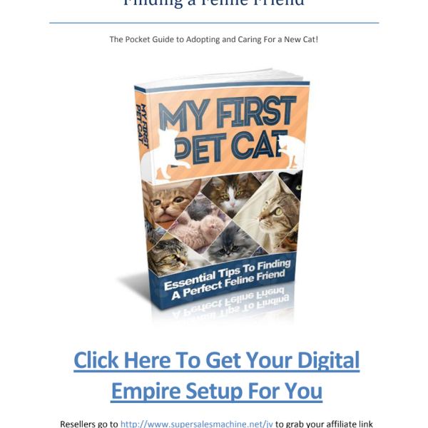 ALLES ÜBER KATZEN: Umfassender Ressourcenordner