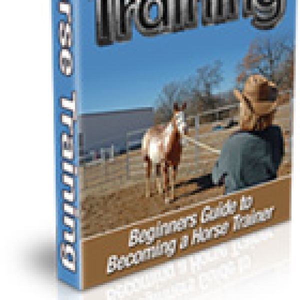 Anfängerguide zur Pferdetraining - Digitaler Zugang