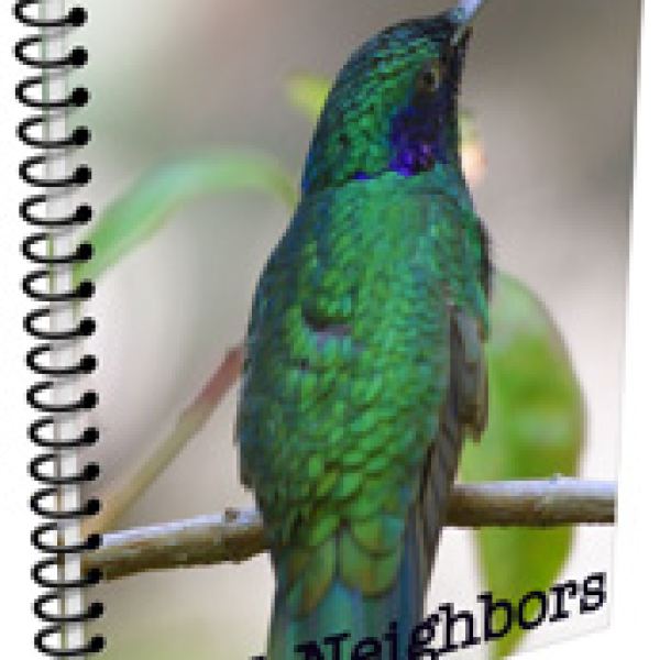 Zugang zum digitalen Ressourcenordner Bird-Neighbors