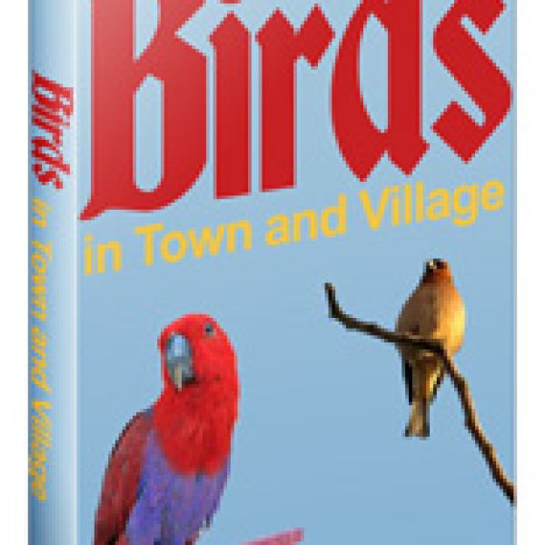 Zugriff auf die Vögel in Stadt und Dorf Digitale Sammlung