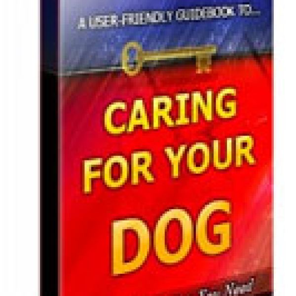 Hunde richtig pflegen: Wichtige Informationsmappe