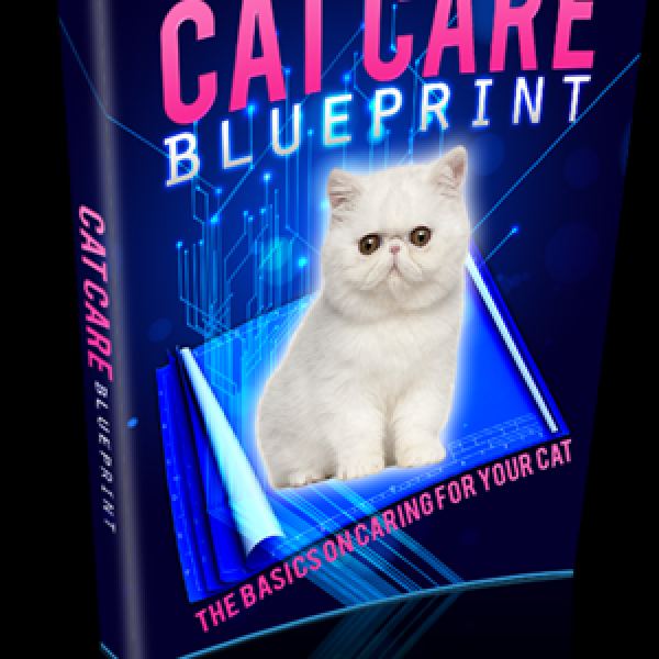 Katzenpflege-Blueprint: Umfassende digitale Ressource