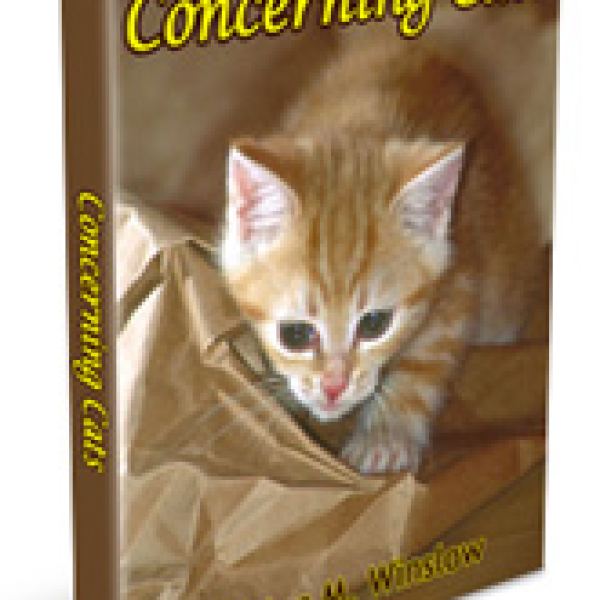 Über Katzen: Umfassender Ressourcenordner