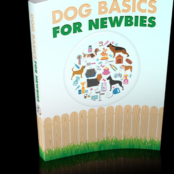 Hundebasics für Neulinge - Umfassender Ressourcenordner