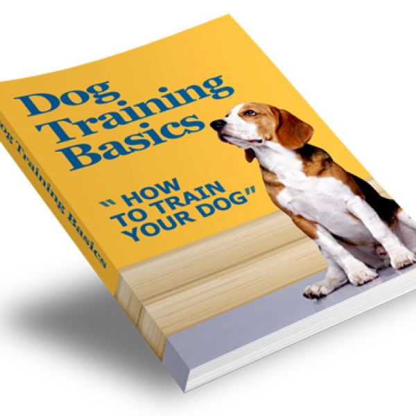 Hundetraining Grundlagen: Umfassender Ressourcenordner