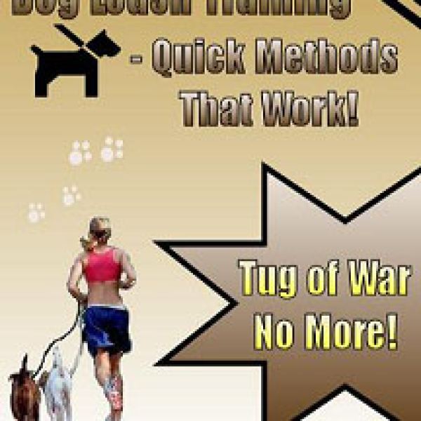 Umfassender Hundeleinen-Trainingsressourcenordner