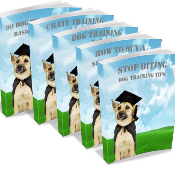 Umfassende Sammlung von Hundetrainings-Tipps Zugang