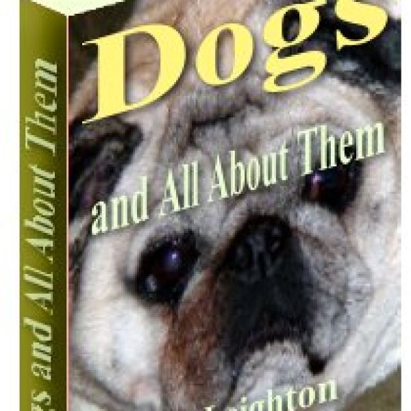 Umfassender Hunde-Ressourcenordner - Jetzt zugreifen