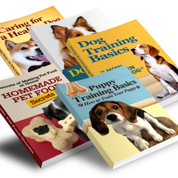 Hundetrainings-Essentials-Kollektion - Umfassender Zugang