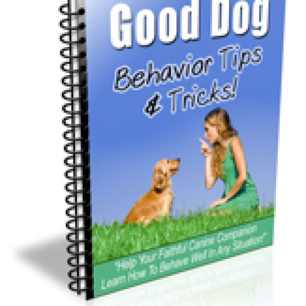 Gute Hundeverhalten Tipps und Tricks - Vollständiger Ressourcenordner