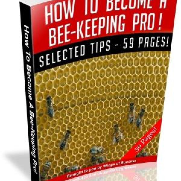 كن محترفًا في تربية النحل: دليل شامل للوصول