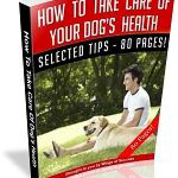 دليل شامل لصحة كلبك