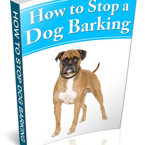 الدليل النهائي لوقف نباح الكلاب - الوصول إلى جوجل درايف