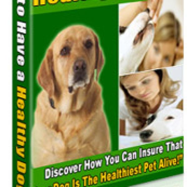 كيفية الحصول على كلب صحي - دليل شامل للوصول