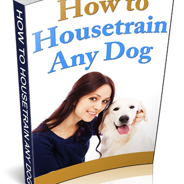 الدليل النهائي لتدريب كلبك على قضاء الحاجة - الوصول إلى جوجل درايف