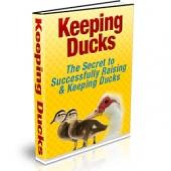 الوصول إلى مجلد موارد تربية البط