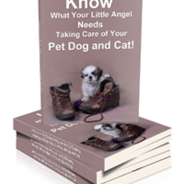 الدليل الأساسي لرعاية كلبك وقطتك