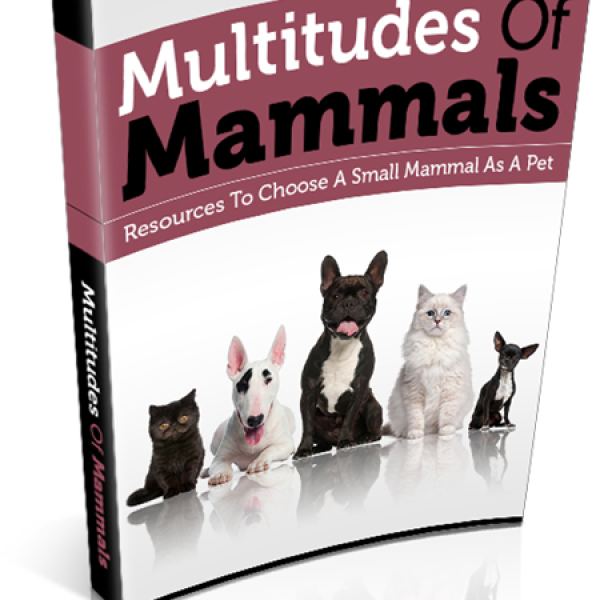 كثرة الثدييات - مورد رقمي شامل