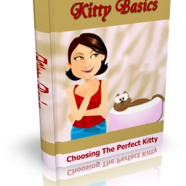 Kitty Basics: Umfassendes digitales Ressourcenpaket