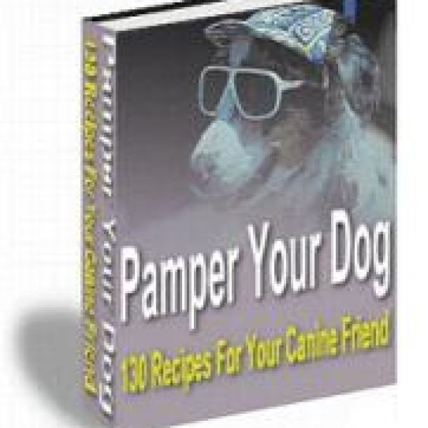 Verwöhnen Sie Ihren Hund: Exklusiver Zugang zu einer kuratierten Sammlung