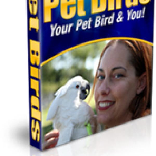 Umfassender Ressourcenordner für Haustier-Vögel