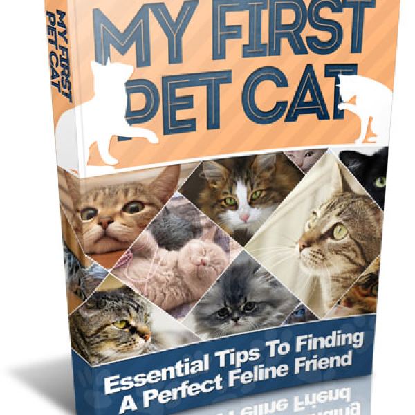 Meine erste Haustierkatze - Umfassender digitaler Ressourcenordner