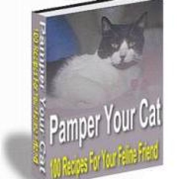 Verwöhnen Sie Ihre Katze: Exklusiver Zugang zu kuratierten Ressourcen