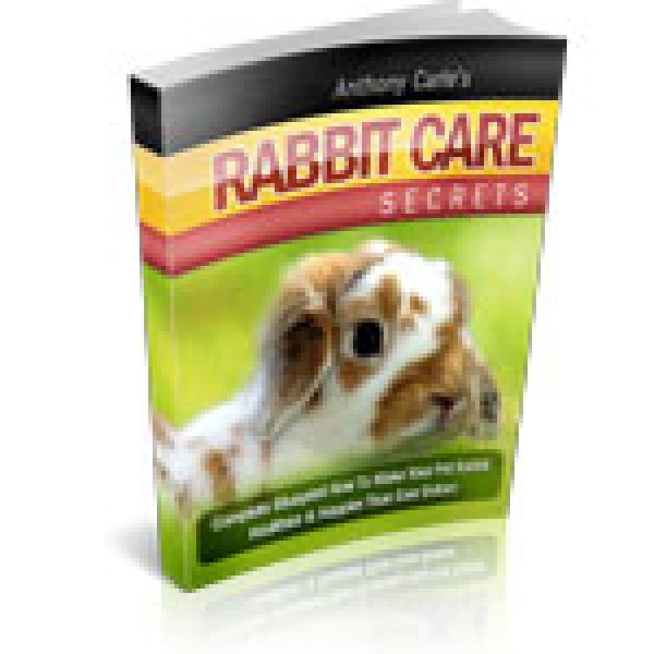 افتح أسرار رعاية الأرانب: مورد رقمي شامل